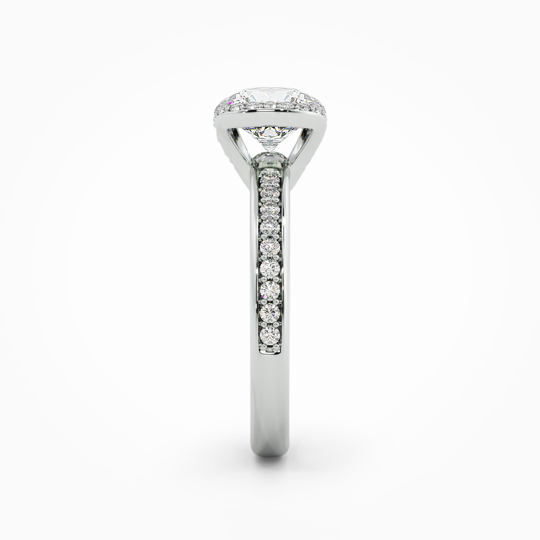 Wi Orion Round 00001 (2)