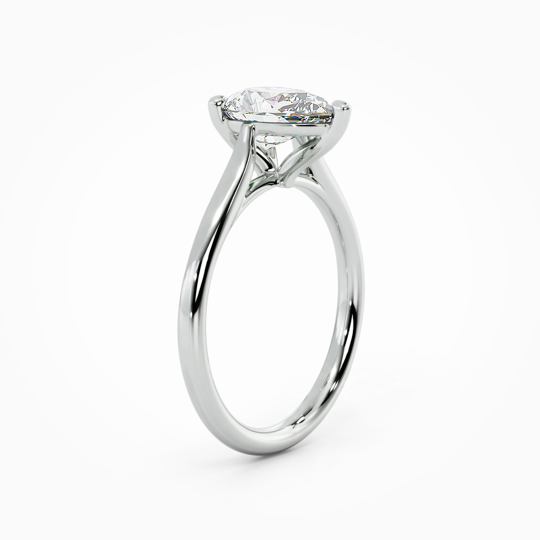 Wi Tulip Pear 00002 (2)