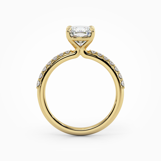 Wi Valentine Diamond Cushion 00005 (1)