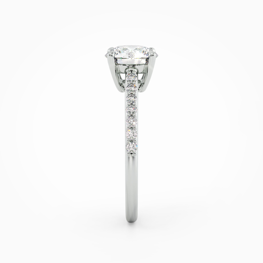 Wi Belle Diamond Band Round 00001 (5)