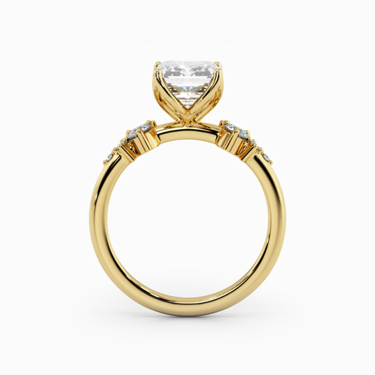 Savannah Petal Emerald Cut 00005 (2)