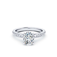 18k White Gold