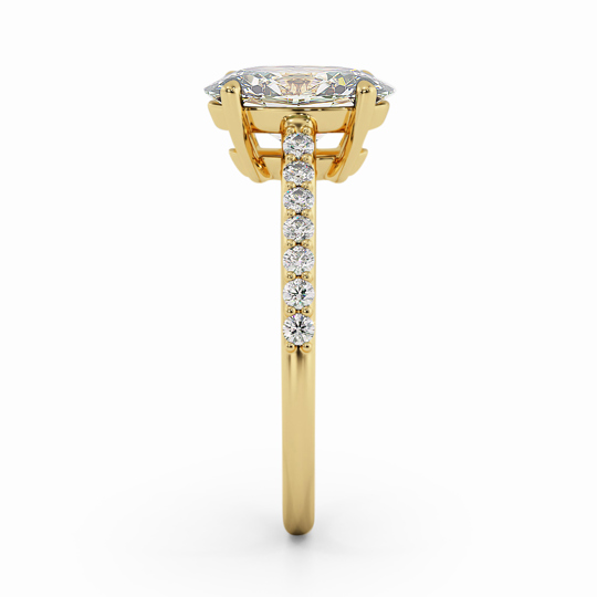 Wi Belle Diamond Band Oval 00006