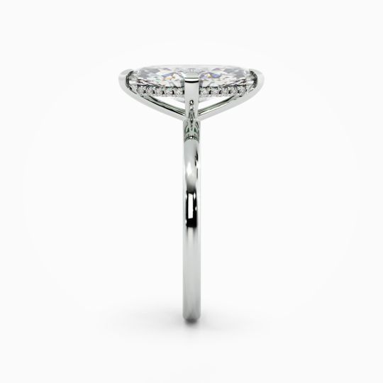 Xx Viva Marquise 00001 (2)