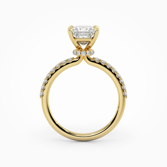 Wi Lucia Diamond Princess 00006 (1)