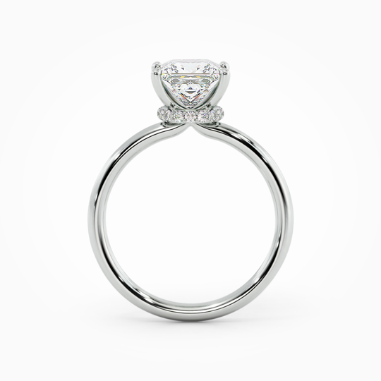 Wi Arabella Princess 00000 (4)