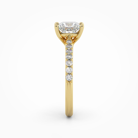 Wi Soleste Princess 00006 1 (1)