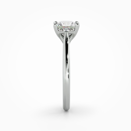 Wi Tulip Princess 00001 (3)