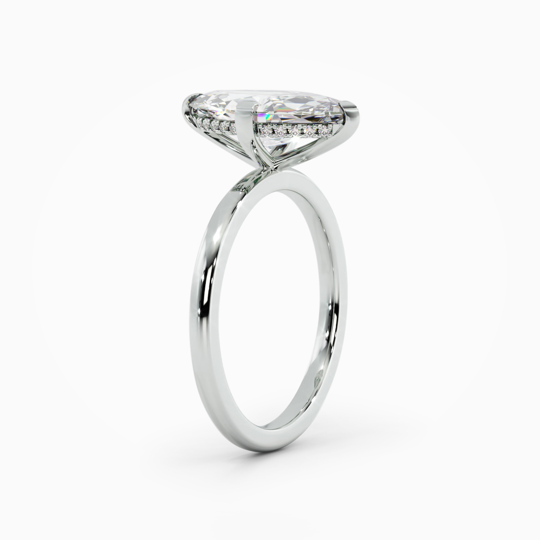 Xx Viva Marquise 00002 (2)