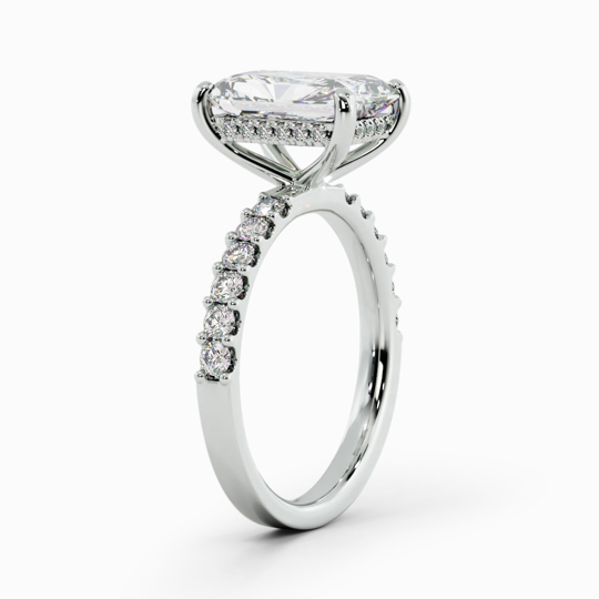 Talitha Radiant 00002 (1)
