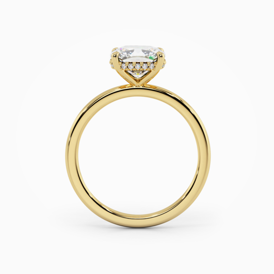 Xx Viva Cushion 00005 (1)