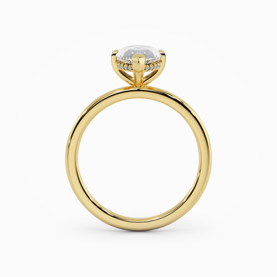 Xx Viva Marquise 00005 1 (1)