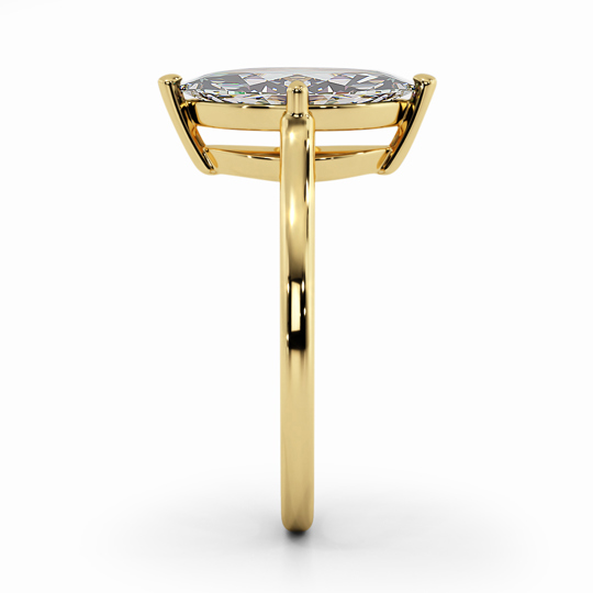 Wi Belle Marquise 00006