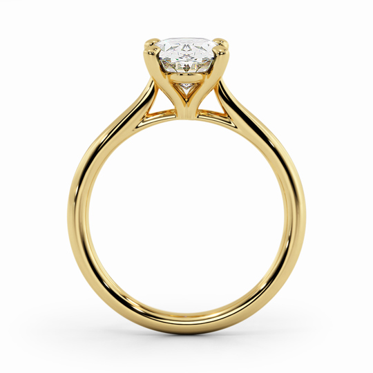 Wi Tulip Oval 00005