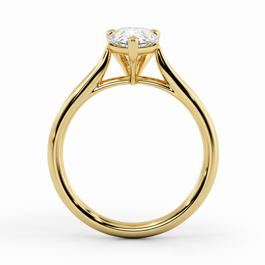 Wi Tulip Pear 00005