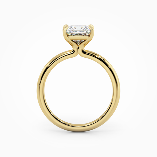 Wi Valentine Plain Princess 00005 (2)