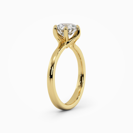 Cecilia Round 00007 (2)