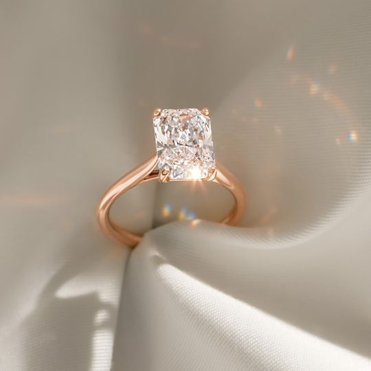 Qua01007 Rose