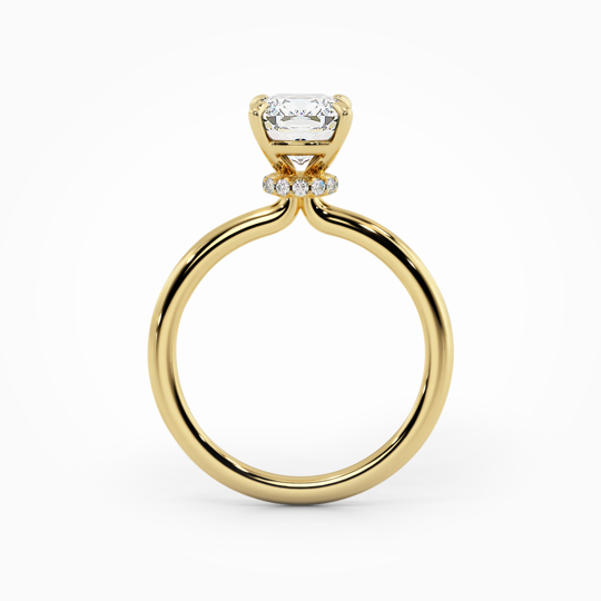 Wi Lucia Plain Cushion 00005 (2)