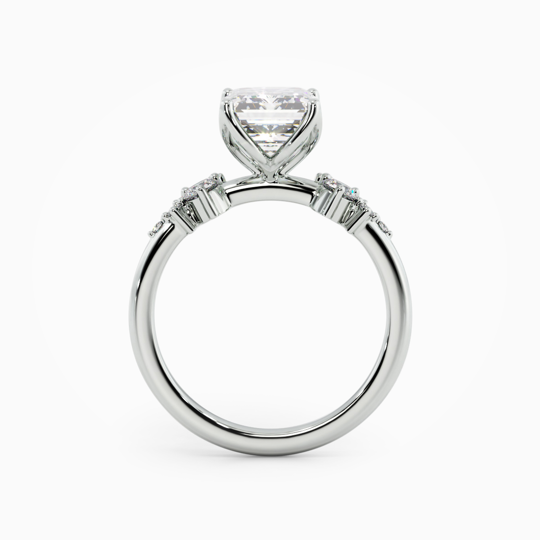 Savannah Petal Emerald Cut 00000 (2)
