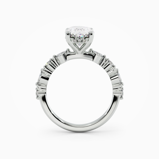 Taylor Oval 00000 (2)