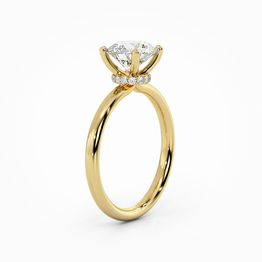 Wi Arabella Round 00007 (3)