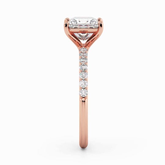Wi Asteria Diamond Princess 00006 1