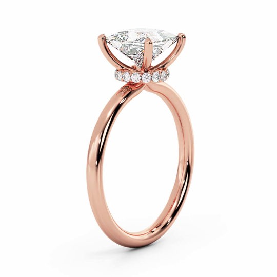 Wi Arabella Princess 00007 1