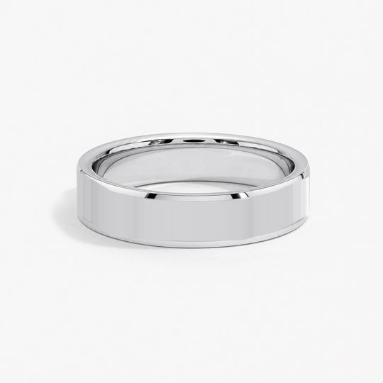 Bevelled 5Mm Platinum Polished 01 Flat