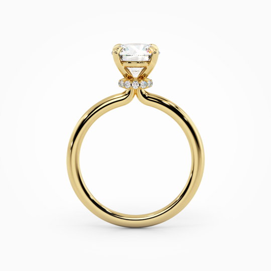 Wi Lucia Plain Round 00005 1 (1)