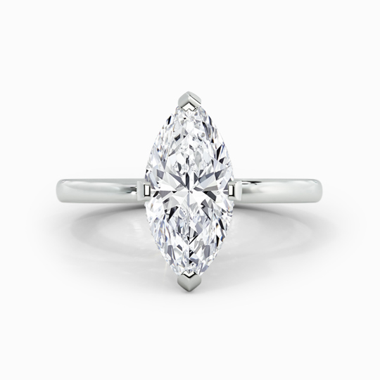 Xx Viva Marquise 00003 (1)