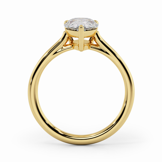 Wi Belle Pear 00005