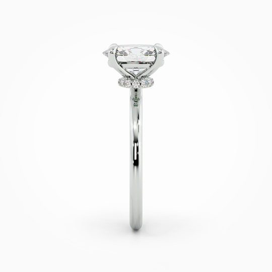 Wi Lucia Plain Princess 00001 1 (2)