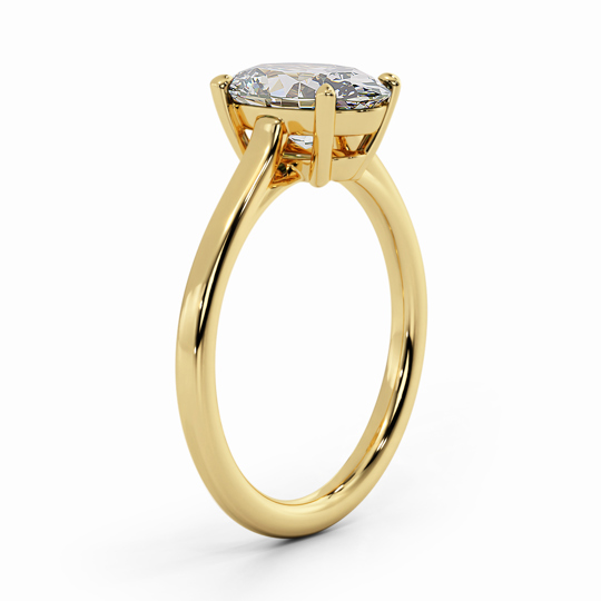 Wi Belle Oval 00007