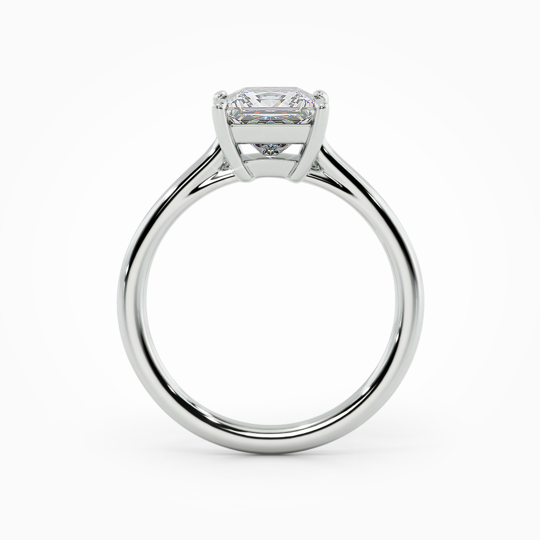 Wi Belle Princess 00000 1 (1)