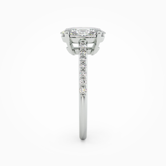 Wi Belle Diamond Band Oval 00001 (2)