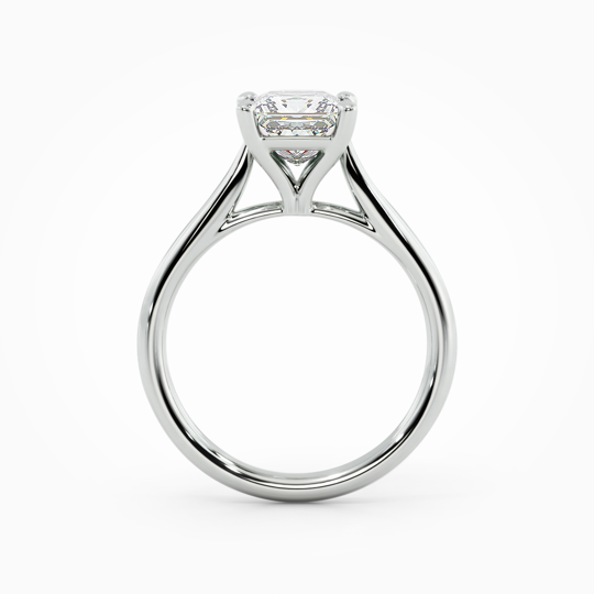 Wi Tulip Princess 00000 (2)