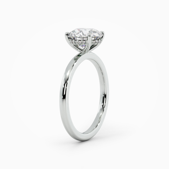 Xx Viva Round 00002 (2)