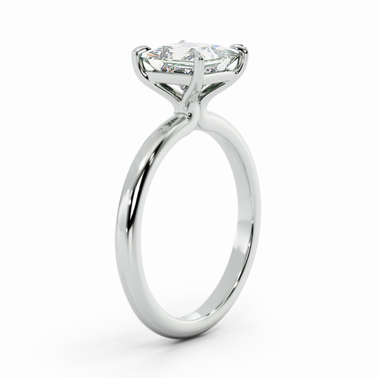 Wi Valentine Plain Princess 00002 (1)