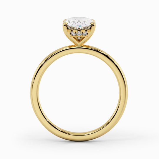 Xx Viva Oval 00005