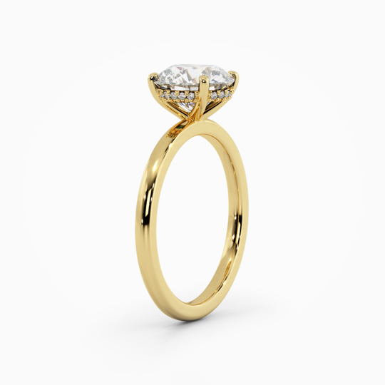 Xx Viva Round 00007 (1)