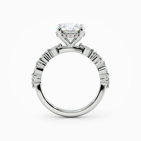 Taylor Round 00000 (3)