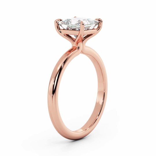 Wi Valentine Plain Princess 00007 (1)