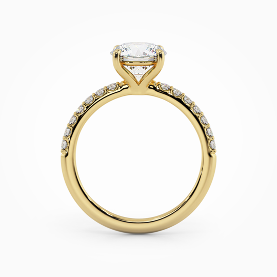 Wi Asteria Db Round 00005 (2)