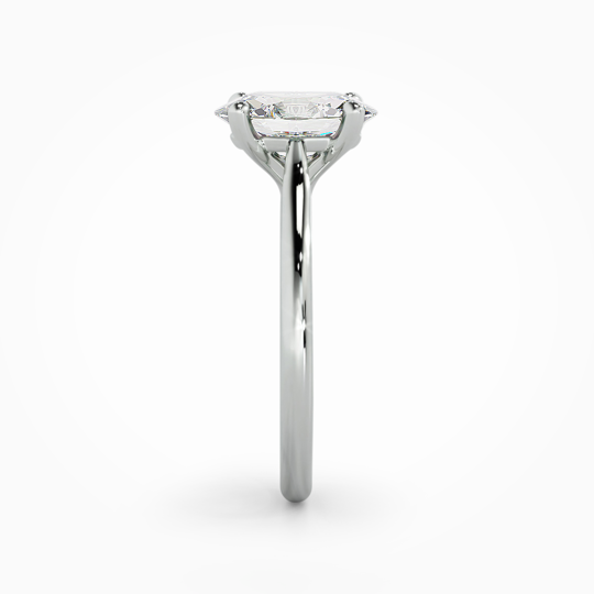 Wi Tulip Oval 00001 (3)