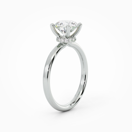 Wi Arabella Round 00002 (5)