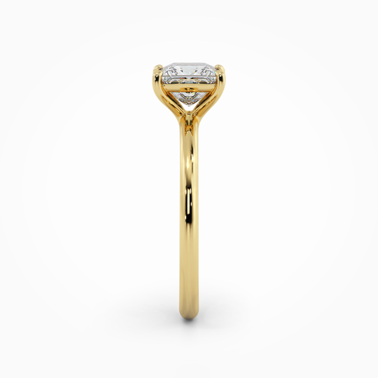 Wi Sorento Princess 00006 1 (1)