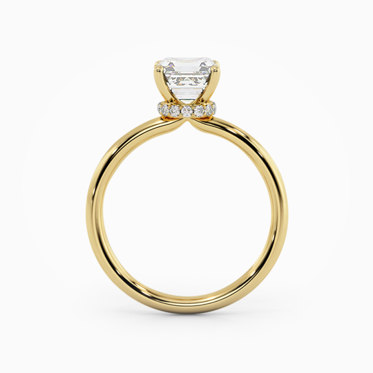 Wi Arabella Asscher 00005 (2)