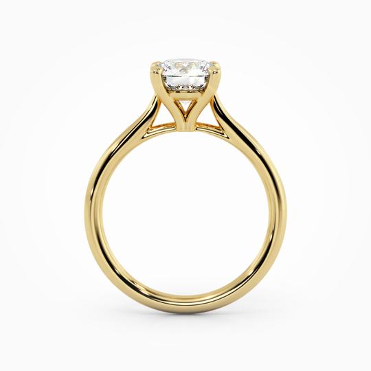 Wi Tulip Round 00005 (1)