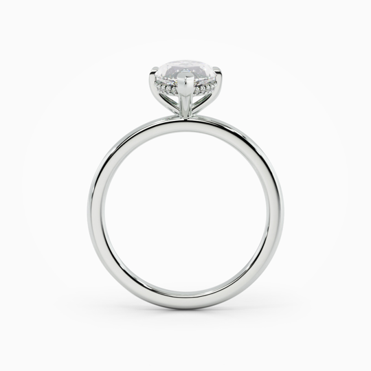 Xx Viva Marquise 00000 (2)